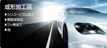成形加工品